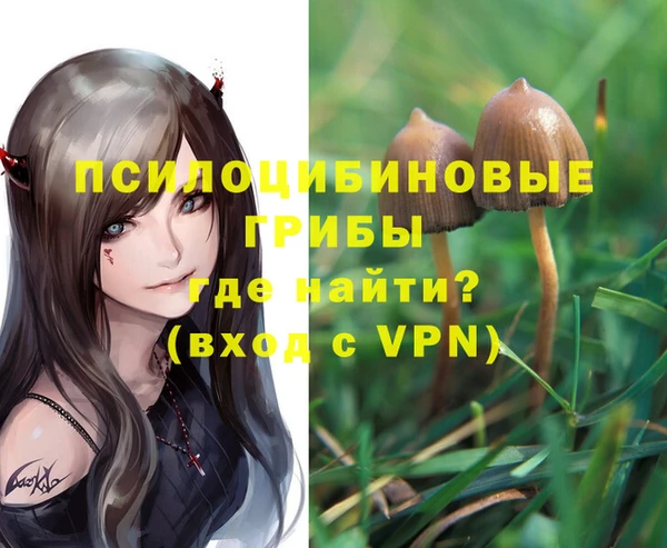 гашиш Аркадак